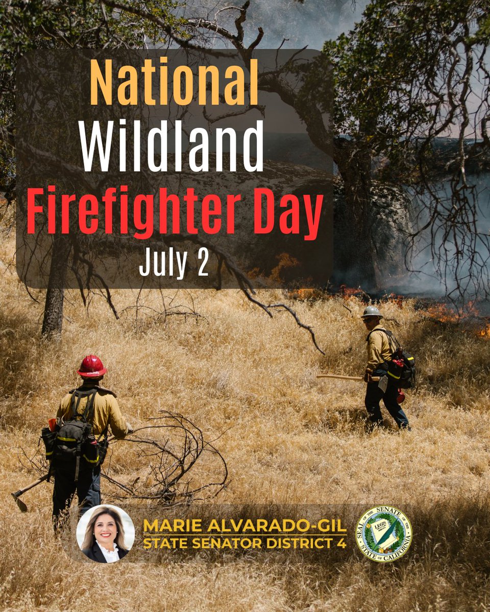 AlvaradoGilSD4's tweet image. SD 4 is home to Yosemite, Lake Tahoe, and some of California’s most iconic natural landscapes. Thank you to every wildland firefighter - for your unwavering courage and commitment to protecting our communities and public lands under the most dangerous conditions.