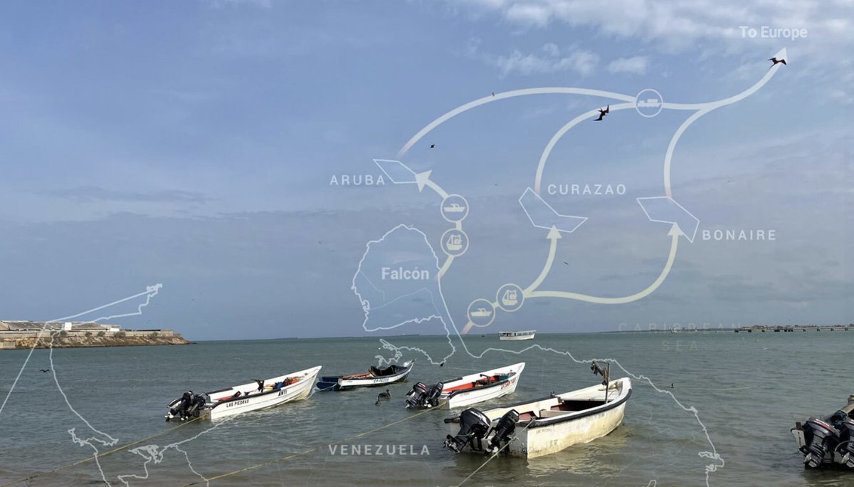 🇻🇪 |  En Falcón, Venezuela, las autoridades incautaron más de tres toneladas de marihuana. Lea cómo esta región costera funciona como punto clave de salida de droga a las islas del Caribe y Europa en: bit.ly/4ntsqBx