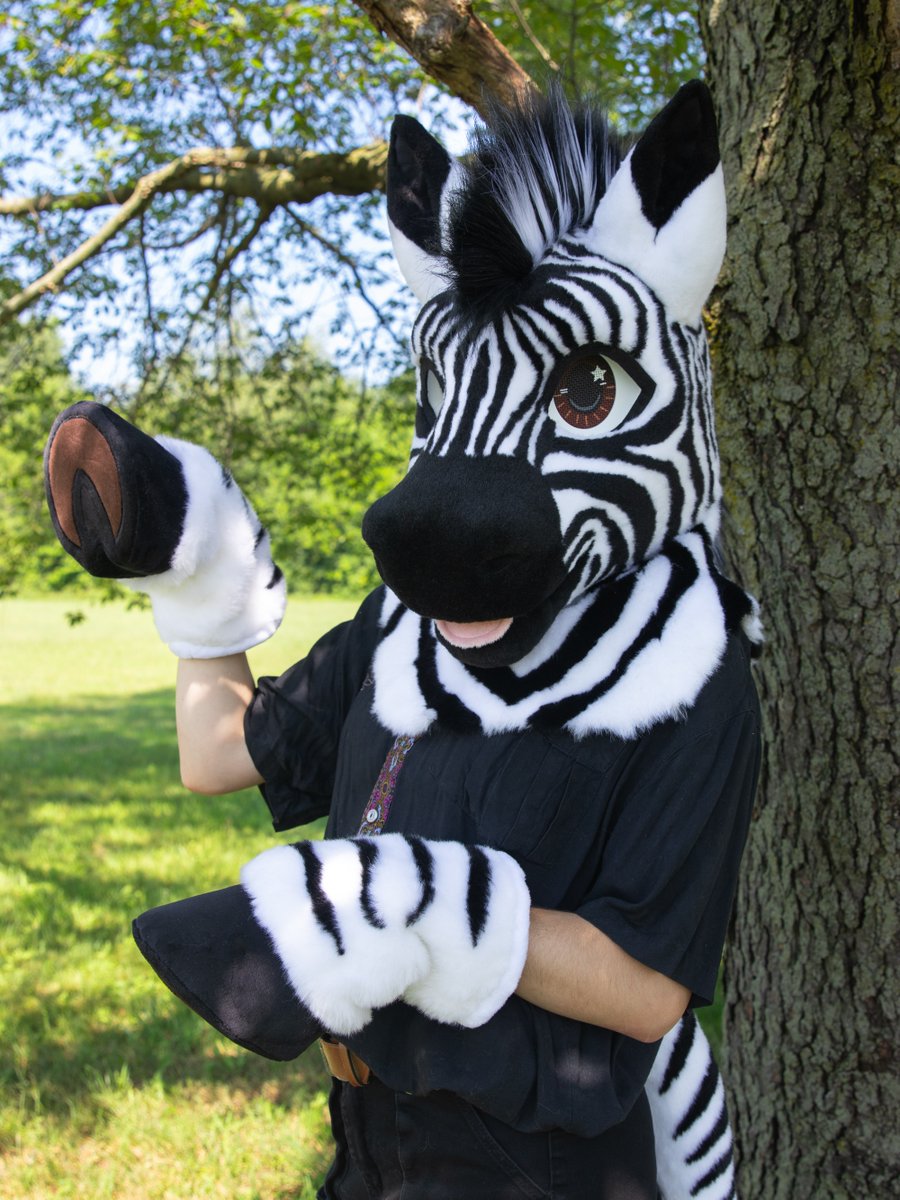 Zebra Premade 🦓
-
It's time to reveal the last premade that we will have for sale at Anthrocon! Make sure to come see this zebra in person at table G16 in the dealers den!