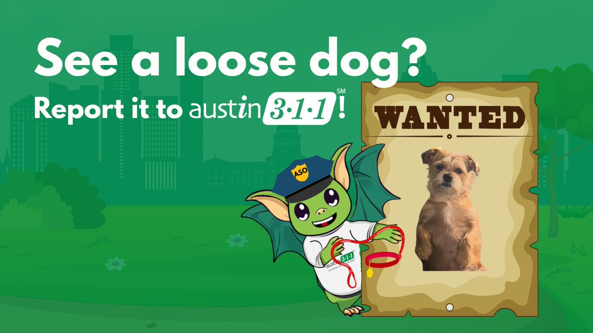 Every 4th of July, we see a rise in lost and loose dogs across Austin. If you spot a loose dog, dial 3-1-1 or 512-974-2000, go online to austin311.org or download the Austin 3-1-1 mobile app to submit a service request.🐾