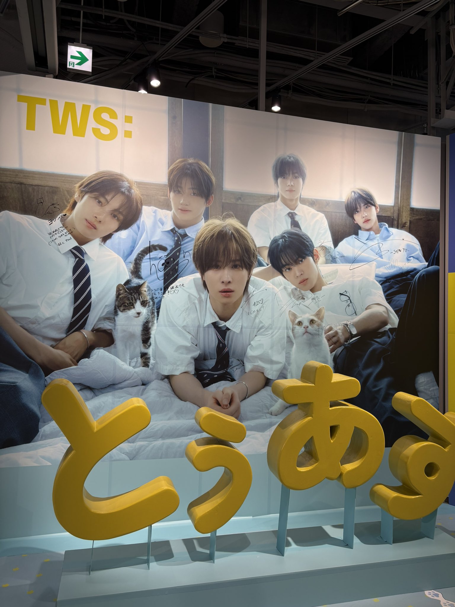 TWS はじめまして ヨンジェ 35枚 TWS はじめまして ヨンジェ 35枚 （NEWS | TWS JAPAN OFFICIAL