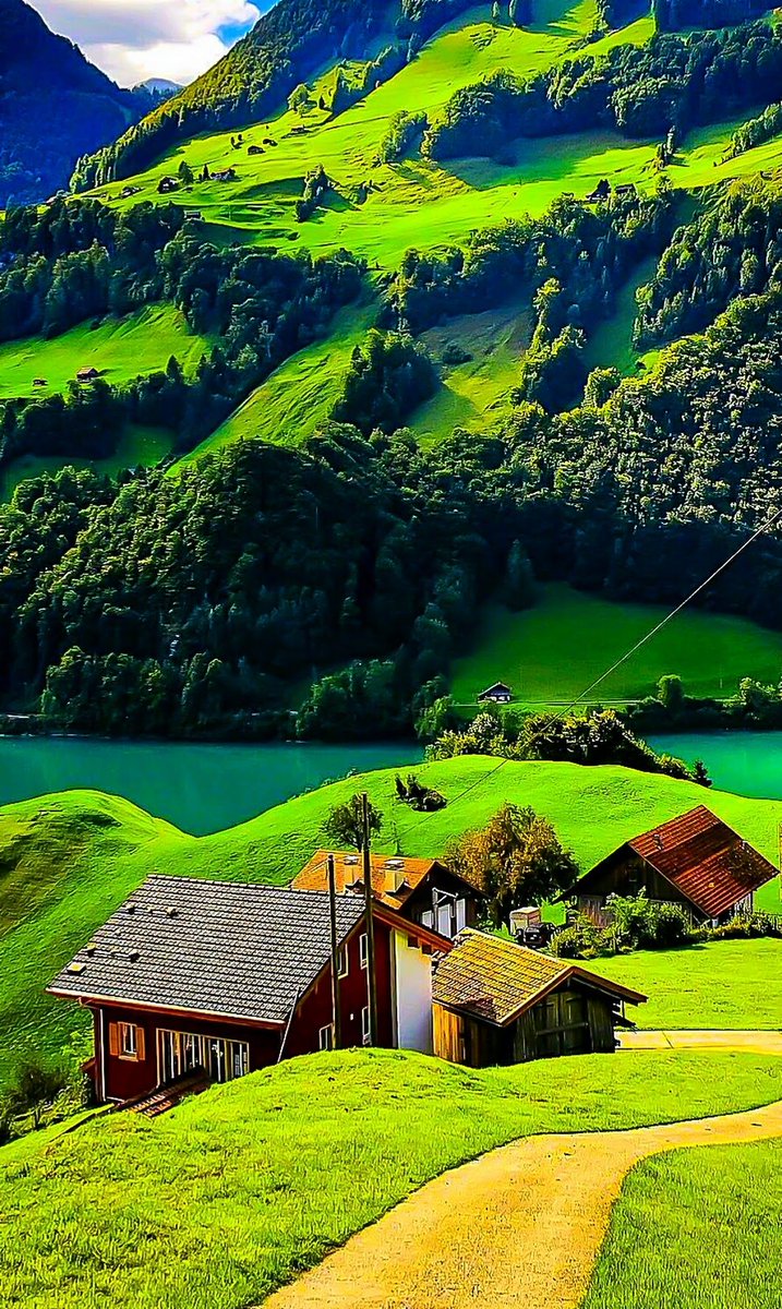 Feliz miércoles a todos.
🍀💚