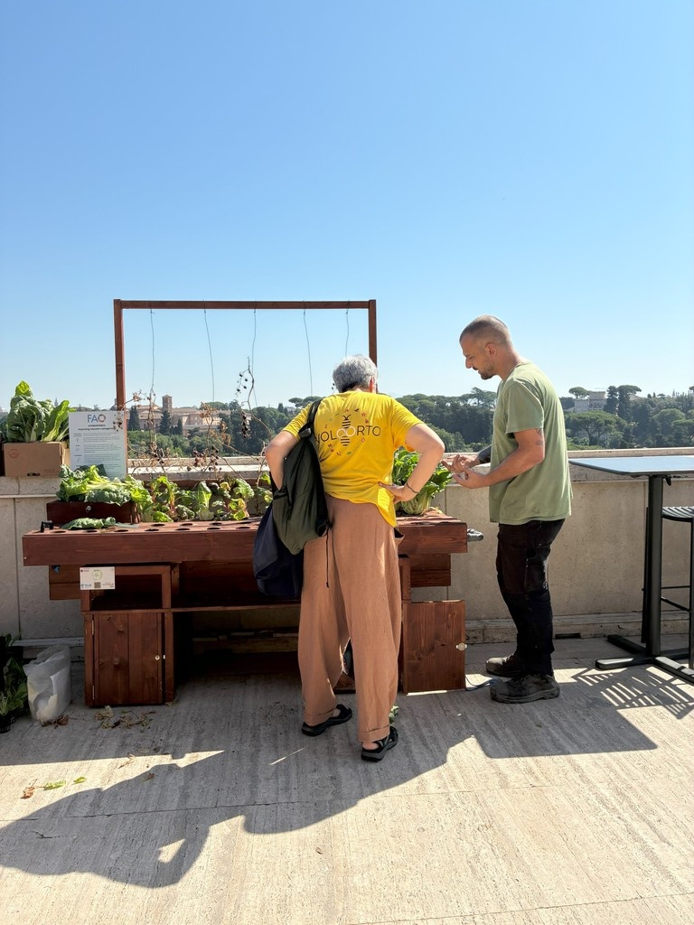 UNmountains's tweet image. 📅 Last week, VOLO🐝ORTO volunteers got a unique glimpse into sustainable innovation during a special visit to the FAO rooftop!
🔗 Learn more: ortobotanico.web.uniroma1.it/it/voloorto-vo…
#MountainsMatter @OrtoRoma