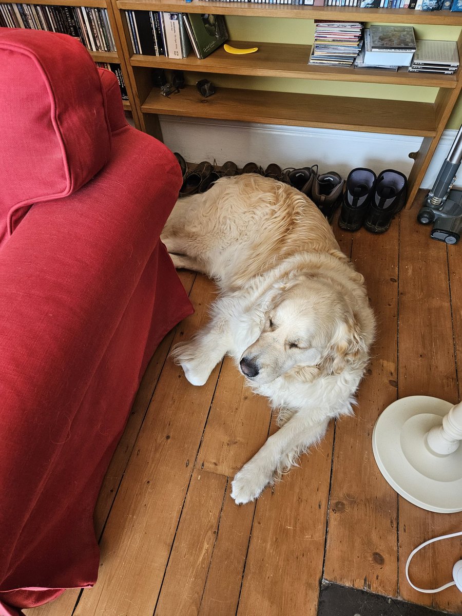 George Mair tweet media