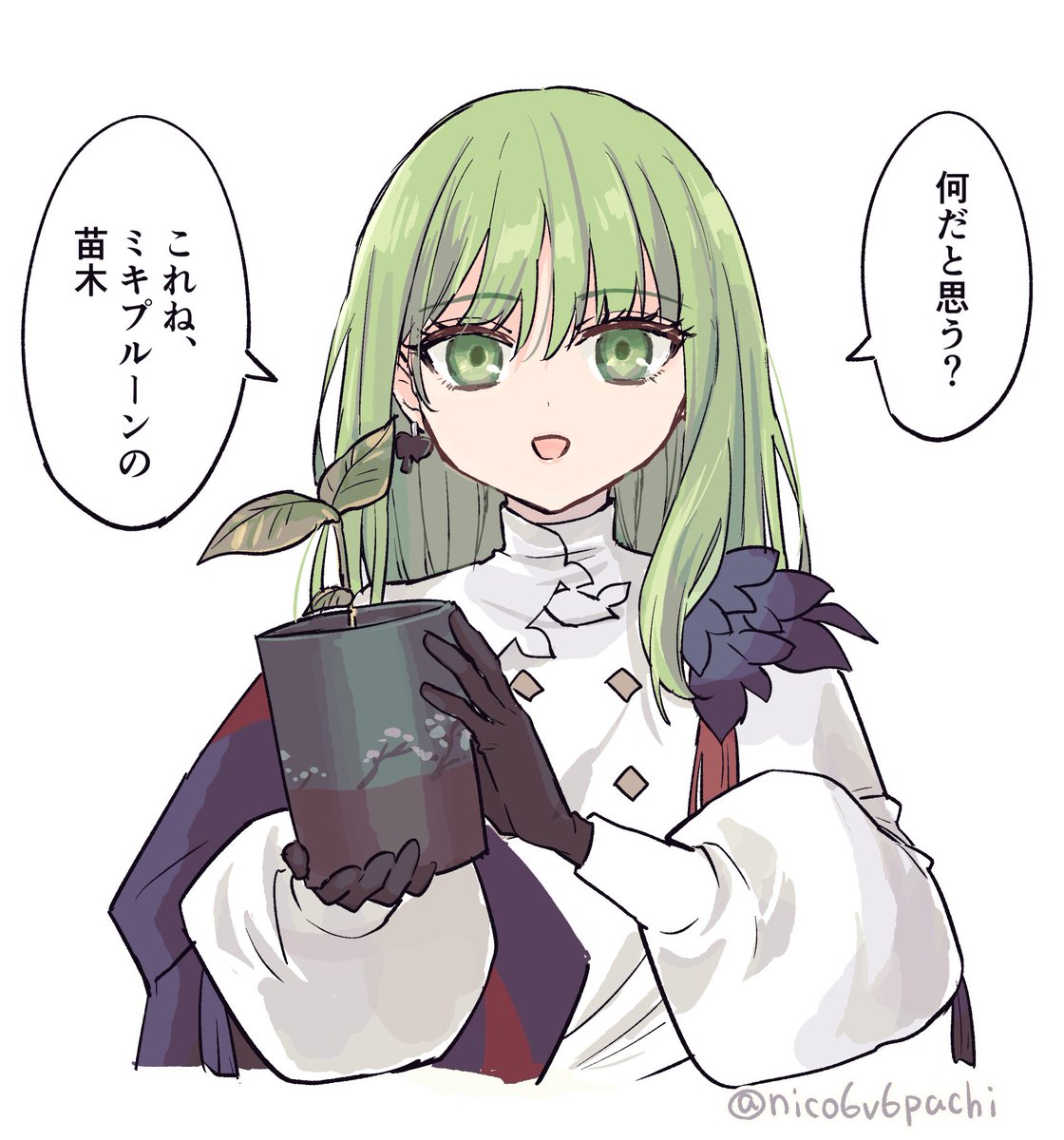 ひめこ (@nico6v6pachi) / Posts / X