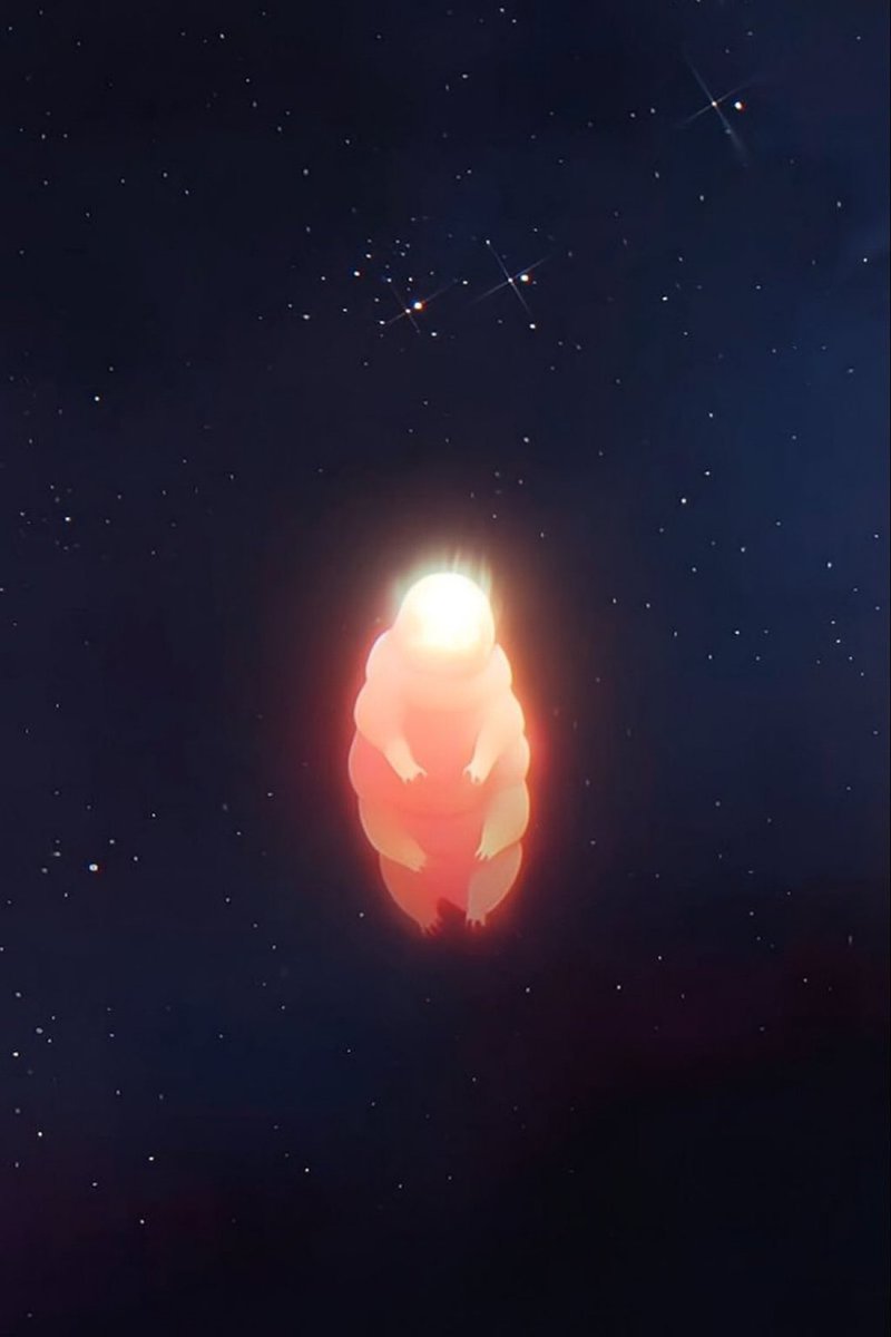 tardsonsol's tweet photo. @moonshot gmoonshot

there’s a little creature coming for that number 1 spot https://t.co/y86WgLGwhT