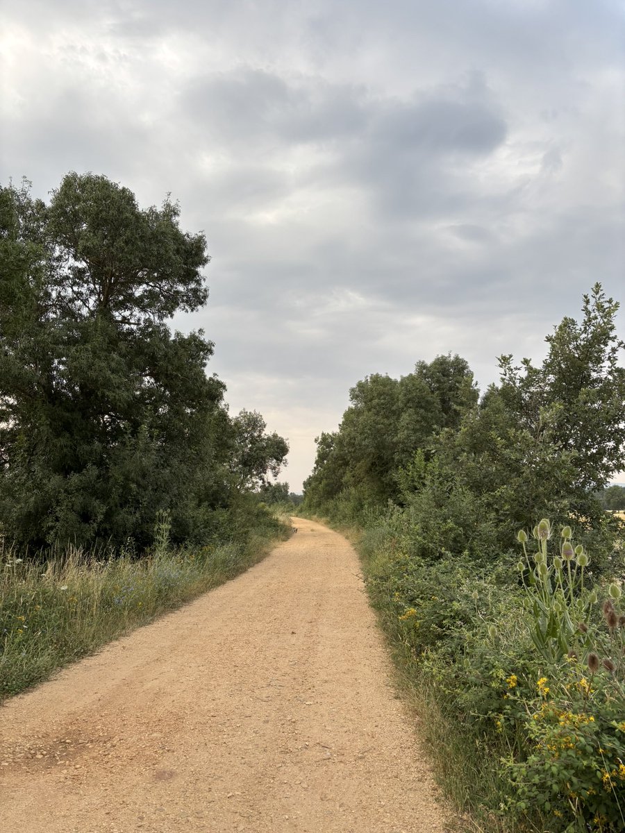 beatrizzd01's tweet photo. paseo de esta mañana 🌿🪻🌾🌥️ https://t.co/I6z7BUrzfc