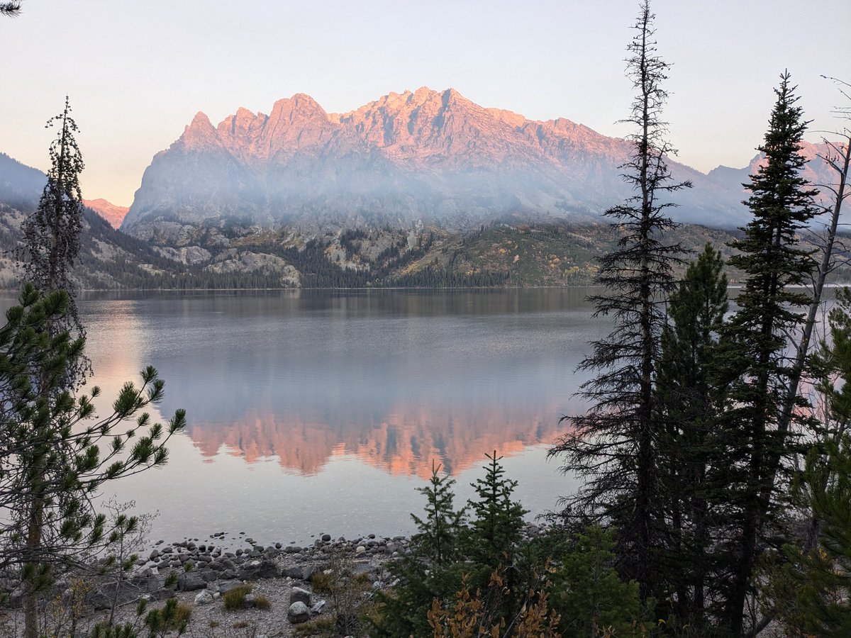 Derrick Ousley tweet media