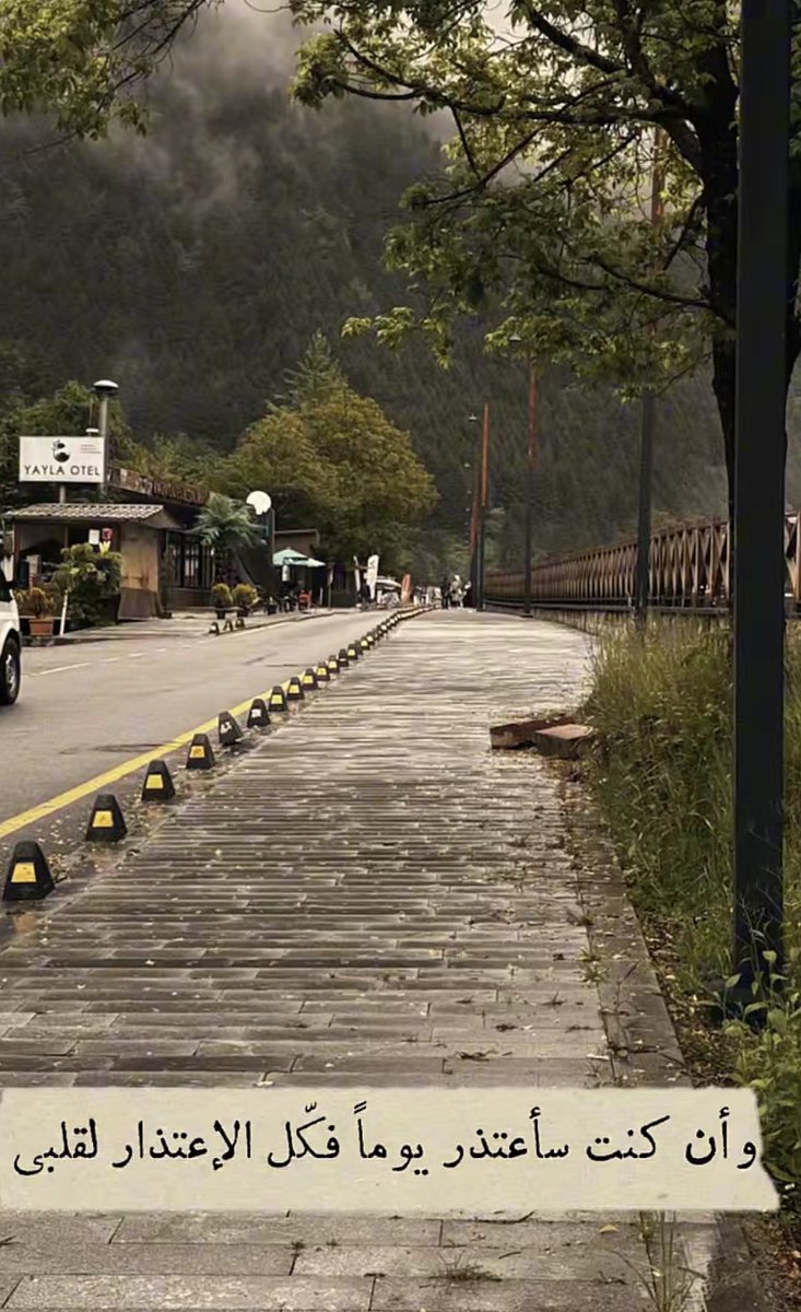 الناس تُفتن بأزهارك حين تُزهر، لكن قلائل فقط من يُحبونك بجذورك، فلا تستغرِب إن تخلّوا عنك حـين يأتي الخريف..🍃