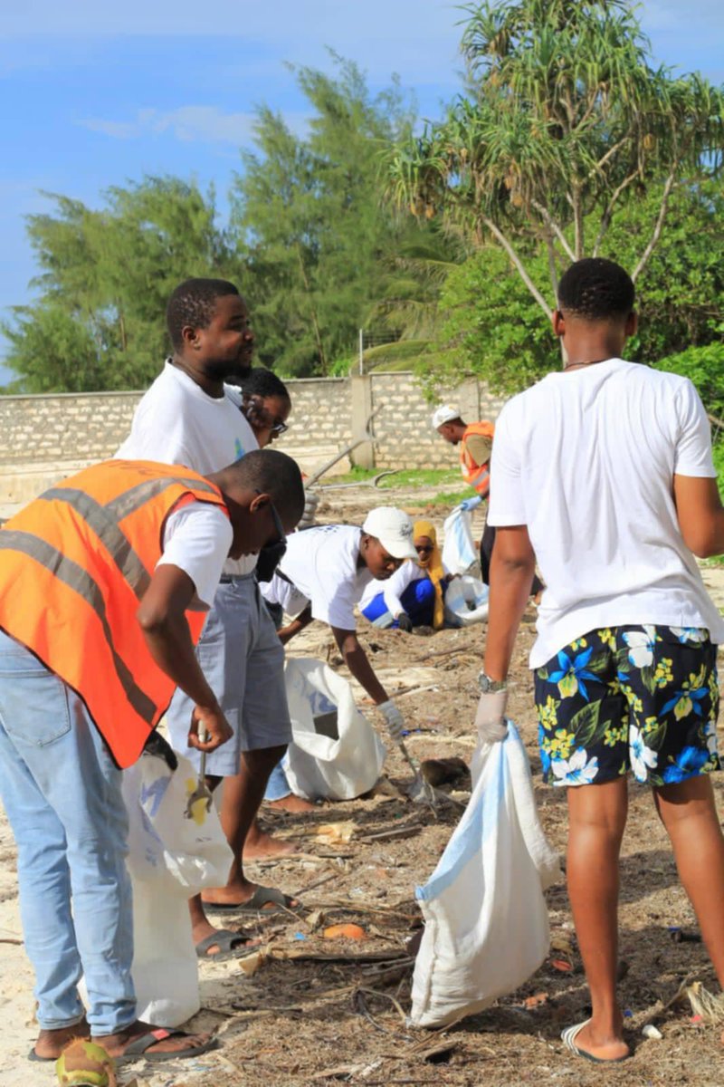 Litter Token ($LTK) 🌱 tweet media