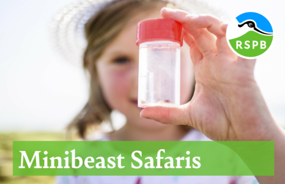 Come on a Minibeast Safari at RSPB The Lodge this summer! ☀

Join in the fun as we get hands on, hunting for a fantastic array of insects and invertebrates, and encouraging children to take a closer look at them. 🐜

For more info &amp; tickets 👇
events.rspb.org.uk/thelodge