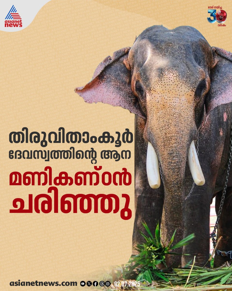 AsianetNewsML's tweet image. തിരുവിതാംകൂർ ദേവസ്വത്തിന്റെ ആന ചരിഞ്ഞു

🔗 youtube.com/watch?v=tXRuaa…

#Elephant #TravancoreDevaswom