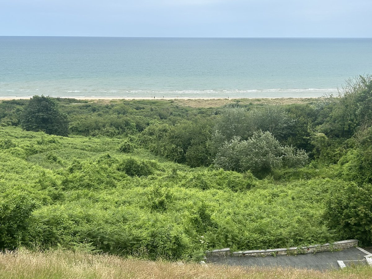 Wellington School tweet media