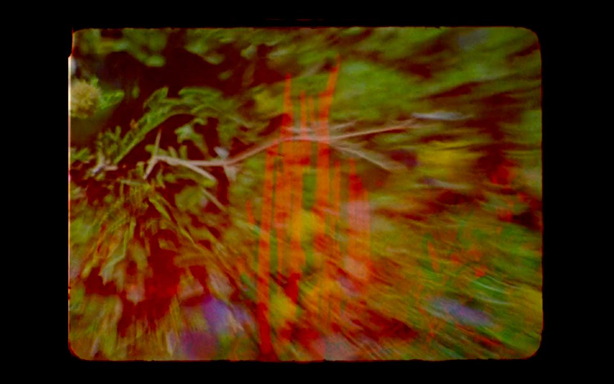 Cloe Masotta comissaria La possibilitat d’una forma, un programa audiovisual sobre cinema, matèria i formes vives. L’Auditori Sant Josep acollirà els dies 4 i 5 de juliol. El programa inclou l’obra Coyote (Colectivo Los Ingrávidos).  
exabrupto.cat/cloe-masotta-c…