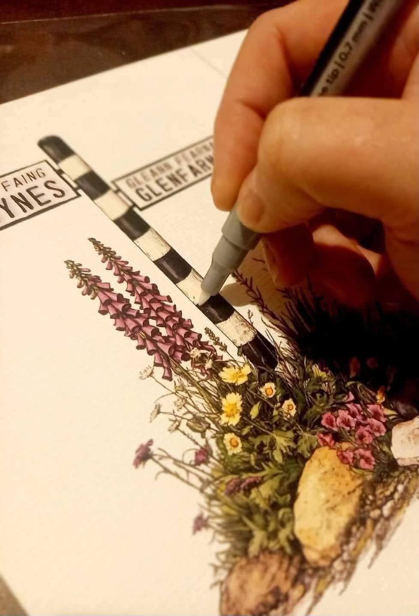 LeitrimTourismNet tweet media