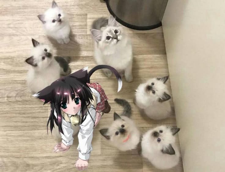 embrace Ur true form Twin.!!! it's catgirl summer  Twin.. let's Be catgirls together twin