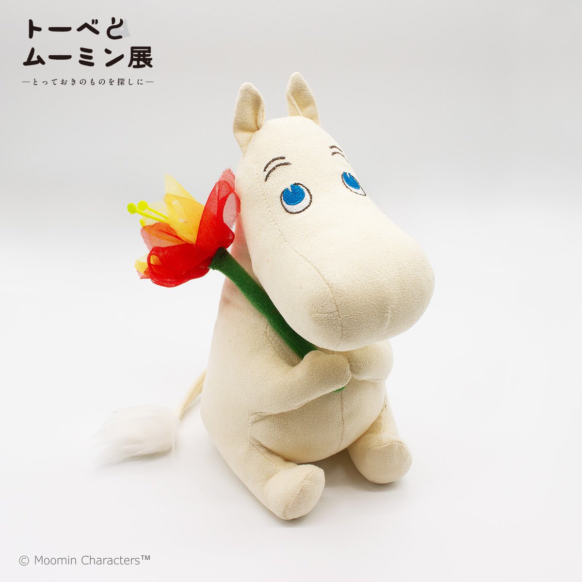 限界突破極限迄値下げしました/完売必死】 ムーミン レーザーディスク