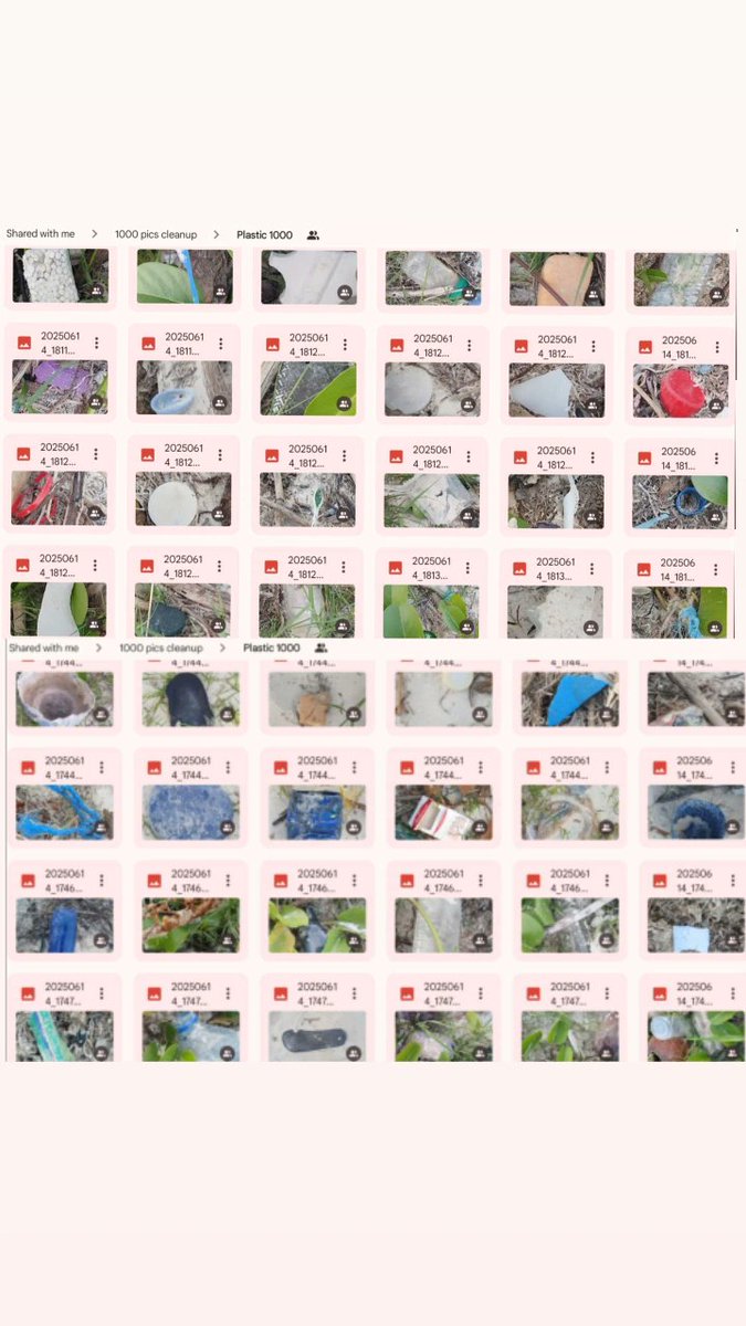 Litter Token ($LTK) 🌱 tweet media