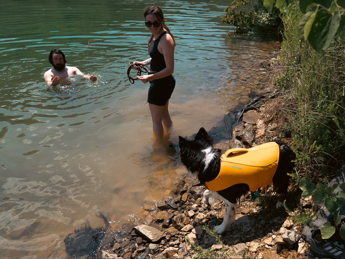 Eric Liffrig tweet media