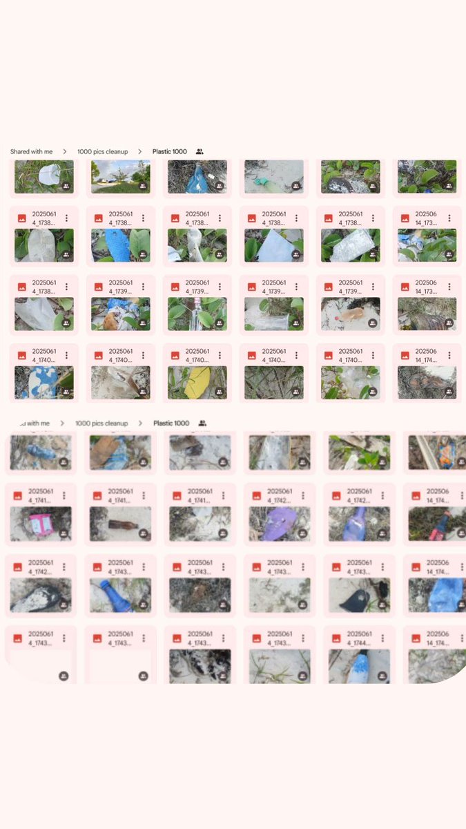 Litter Token ($LTK) 🌱 tweet media