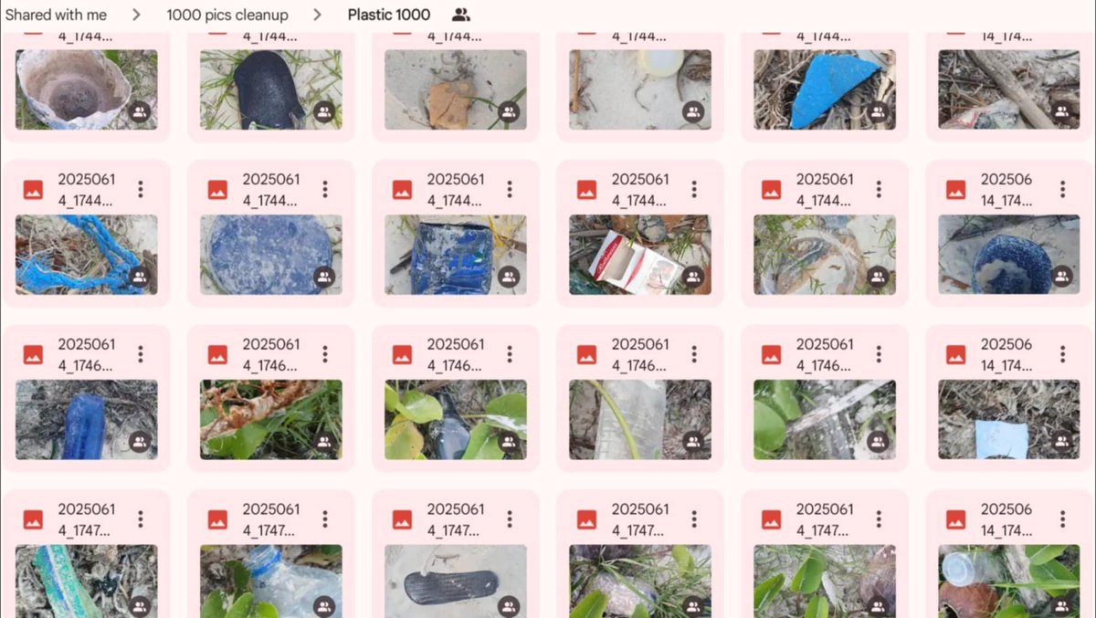 Litter Token ($LTK) 🌱 tweet media