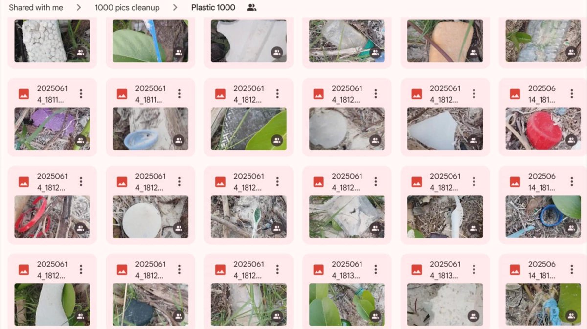 Litter Token ($LTK) 🌱 tweet media