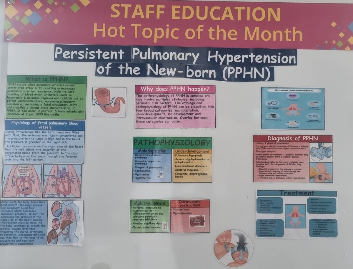PPHN is our hot topic on our education board this month.