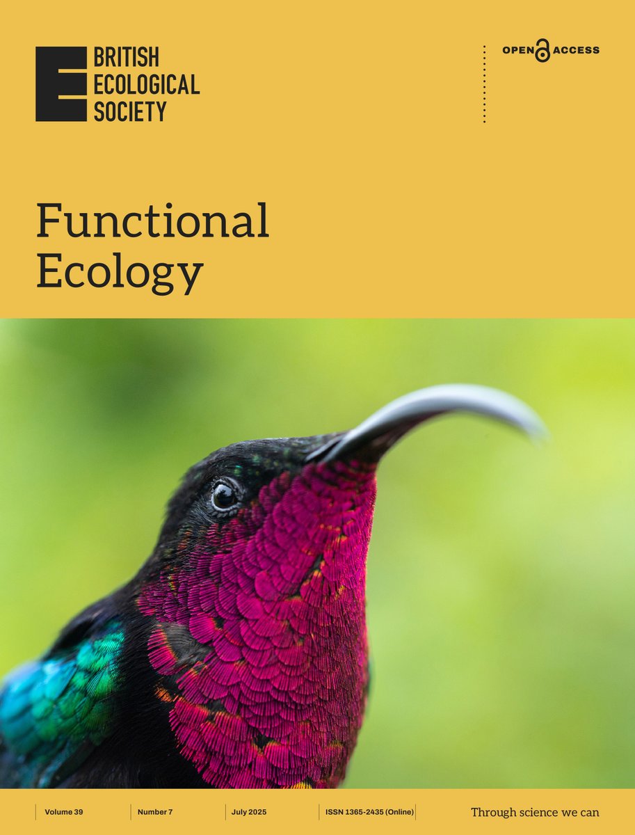Paco Ornelas (@pacoornelas8) on Twitter photo Published today! And we got the cover! "The role of insularity: Plants have few ornithophilous traits but are visited by morphologically more distinct hummingbirds in the Caribbean islands" by Vollstädt et al. | <a href="/FunEcology/">Functional Ecology</a> | besjournals.onlinelibrary.wiley.com/doi/10.1111/13… Published today! And we got the cover! "The role of insularity: Plants have few ornithophilous traits but are visited by morphologically more distinct hummingbirds in the Caribbean islands" by Vollstädt et al. | <a href="/FunEcology/">Functional Ecology</a> | besjournals.onlinelibrary.wiley.com/doi/10.1111/13…