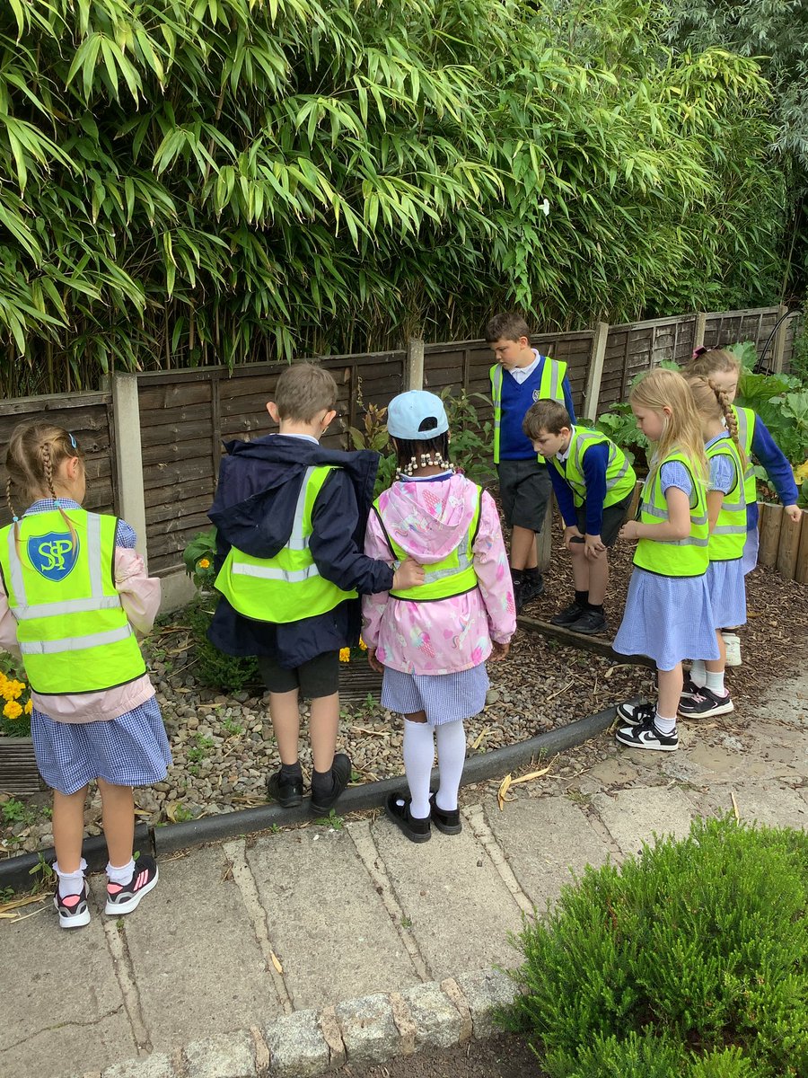 Year 2 - St. Philip's tweet media