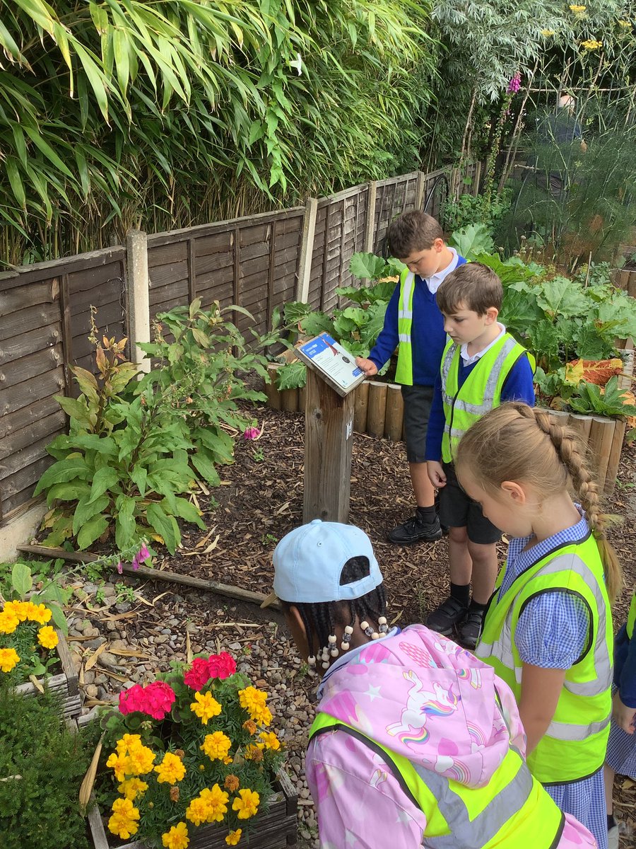 Year 2 - St. Philip's tweet media