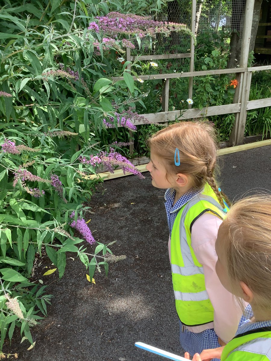 Year 2 - St. Philip's tweet media