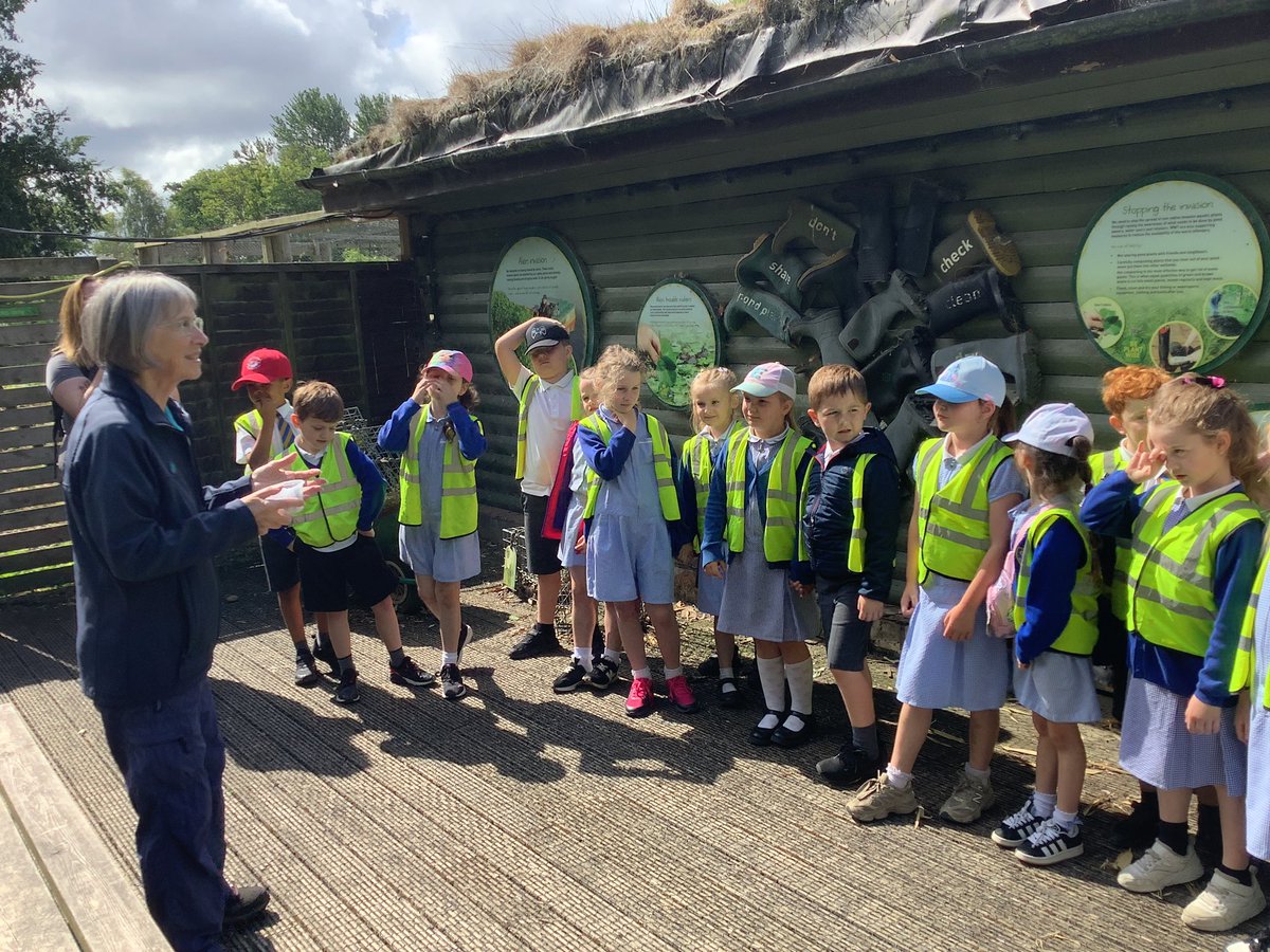 Year 2 - St. Philip's tweet media