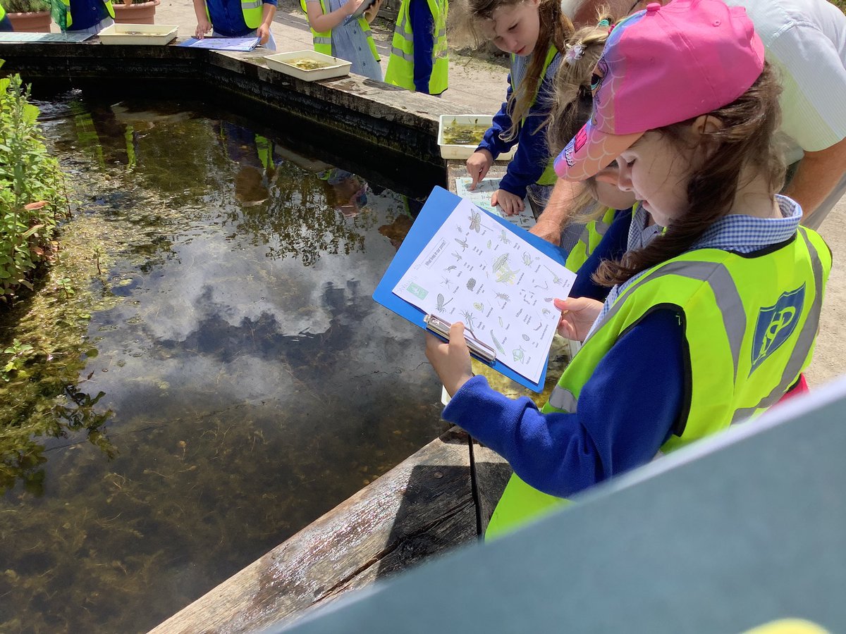 Year 2 - St. Philip's tweet media