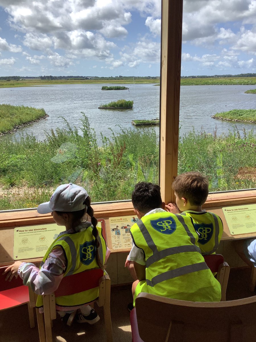 Year 2 - St. Philip's tweet media