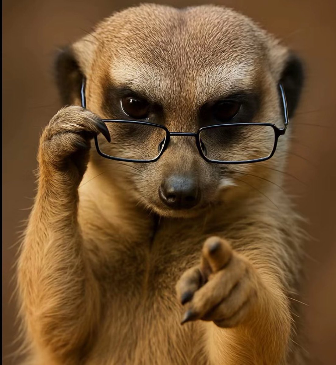 Ndinu odzikonda amene simupanga retweet ma business azizanu omwe amapanga retweet your shit. 
In fact ndinu ana amanyi kumene, especially if you only retweet shit by people in your circle.