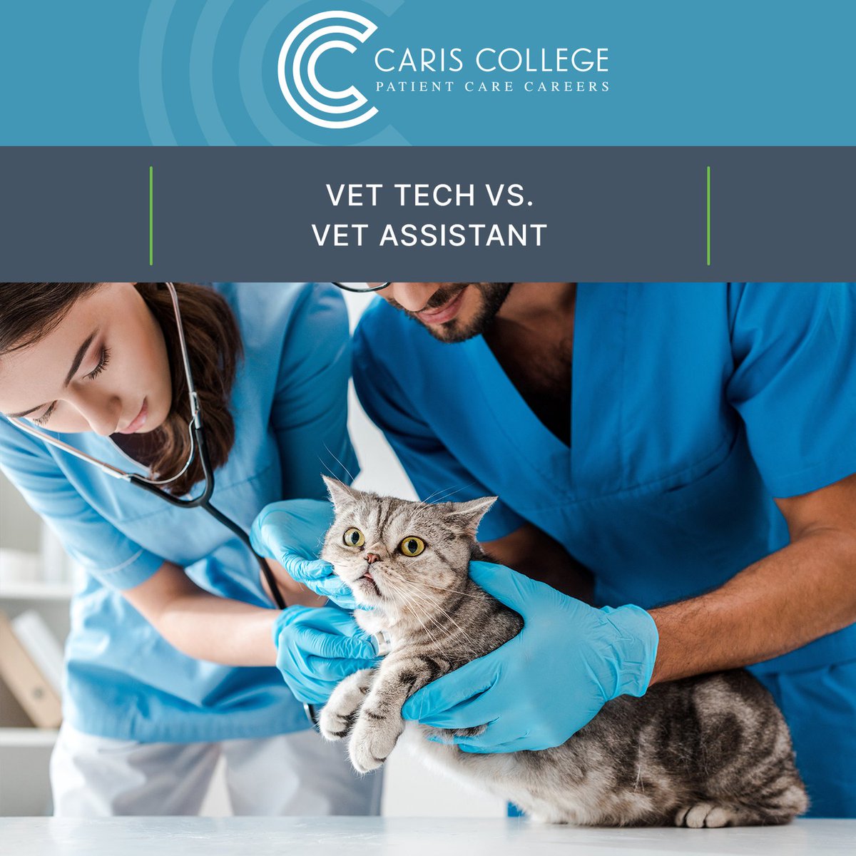 Caris College tweet media
