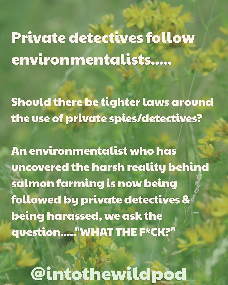 IntoTheWildPod's tweet image. 🎙Nature News - Week 21
Private detectives & tarantulas in the post....yep, genuinely 2 stories we covered this week!
Full episode: linktr.ee/intothewildpod