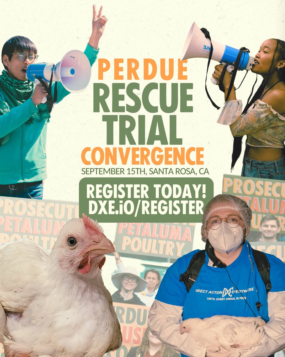 In less than 3 months, animal rescuer Zoe Rosenberg will go on trial in Sonoma County facing nearly half a decade in jail. She is facing felony and misdemeanor charges for rescuing four criminally abused chickens, Poppy, Ivy, Aster and Azalea, from Perdue's Petaluma Poultry