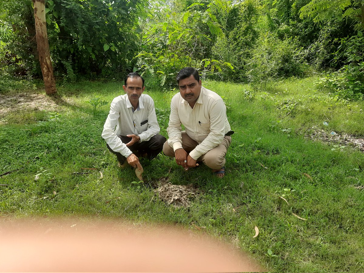 🌳 #प्रकृति_मित्र 🌳
Name- Surjeet Singh  (HT)
Address- PS DHUKSI <a href="/shikshansamvad/">मिशन शिक्षण संवाद @shikshansamvad</a>  <a href="/teachersclubup/">teachers club</a> <a href="/UNEP/">UN Environment Programme</a> <a href="/eriksolheim/">Erik Solheim</a> <a href="/myogiadityanath/">Yogi Adityanath</a> <a href="/narendramodi/">Narendra Modi</a> <a href="/DEFCCOfficial/">Department of Environment, Forest & Climate Change</a> <a href="/basicshiksha_up/">Department Of Basic Education Uttar Pradesh</a> <a href="/Rupendersingh02/">Rupender Singh MSS</a>
साभार- टीम प्रकृति मित्र 
मिशन शिक्षण संवाद
#EkPedMaaKeNaam
वृक्षारोपण अवश्य करें।