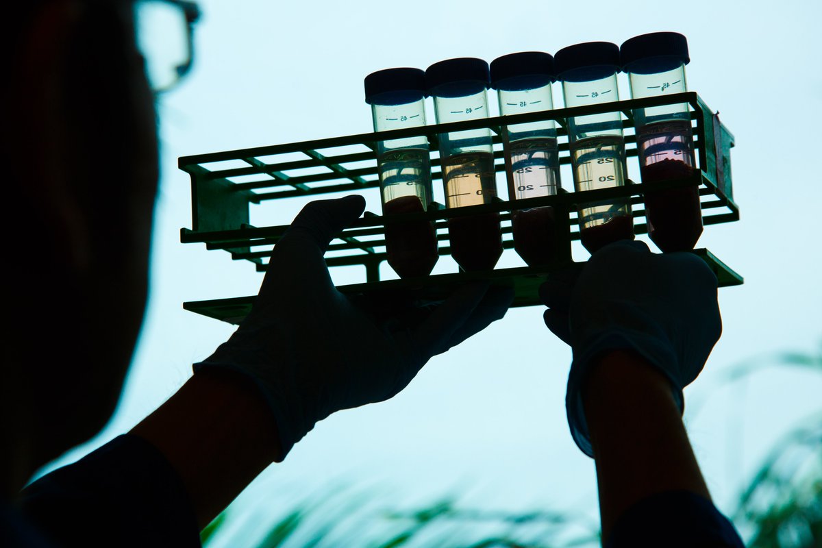 By combining a soil microbe’s natural cancer-killing compound with an antibody, Wertheim UF Scripps scientists may have found a new approach to treating aggressive blood cancers including B cell #lymphoma. wertheim.scripps.ufl.edu/2025/07/02/ant…

#drugdiscovery #cancer #cancerreseach