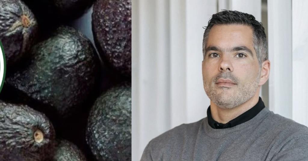 Chilean avocado output reaches highest level in 15 years ow.ly/FUwY106eynt