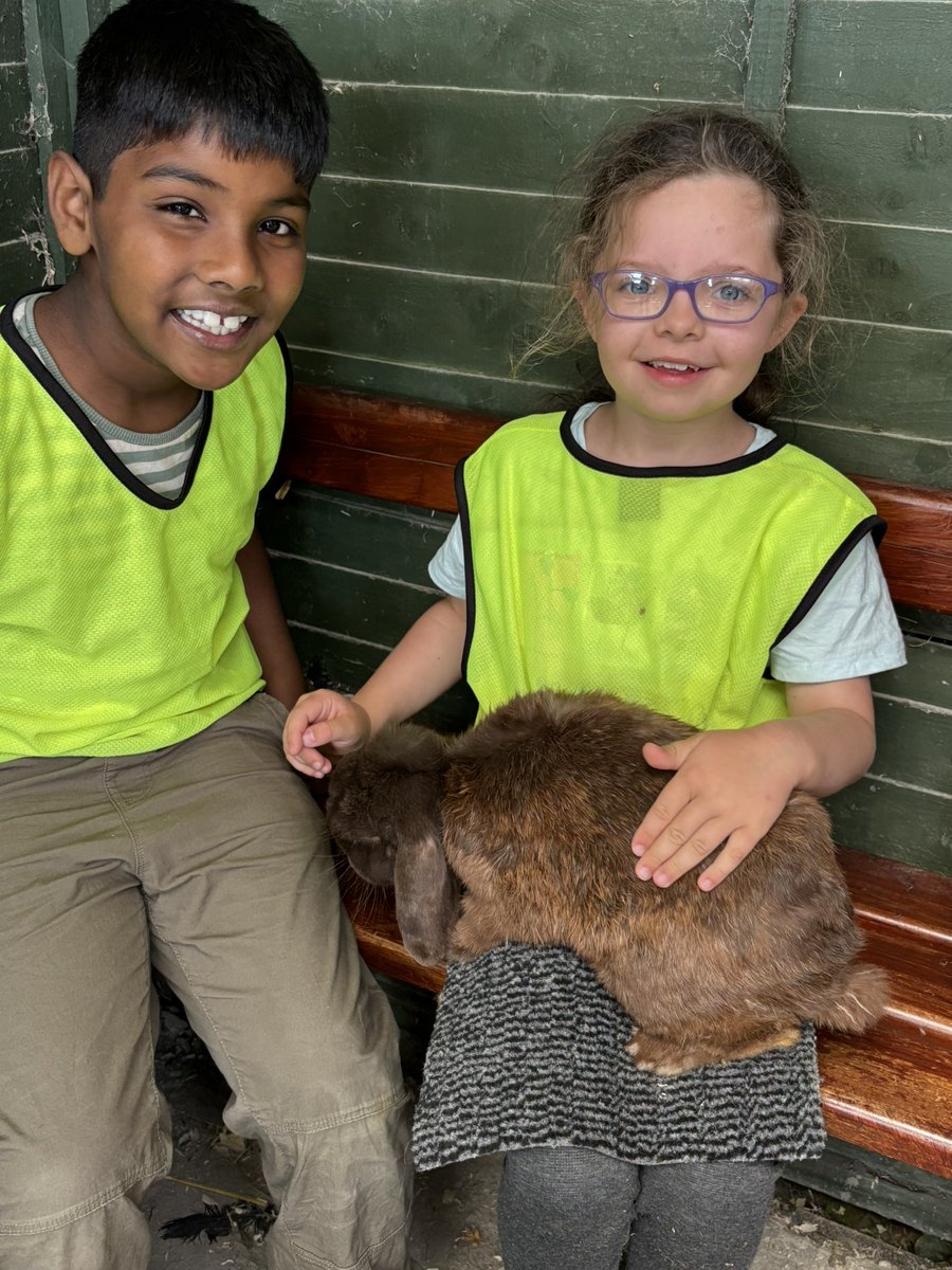 HolyFamilySchl's tweet photo. Summer Camp Day 3! What a glorious day for a trip to the wonderful Glenroe Farm, we watched a strutting peacock with  feathers on full show, had a picnic, held and fed some animals and had fun in the playground!  Thanks to https://t.co/N8C4jD1rHM for a great day! 🦚🐷🐐🐴🐑🐄 https://t.co/n15RmPWdVZ