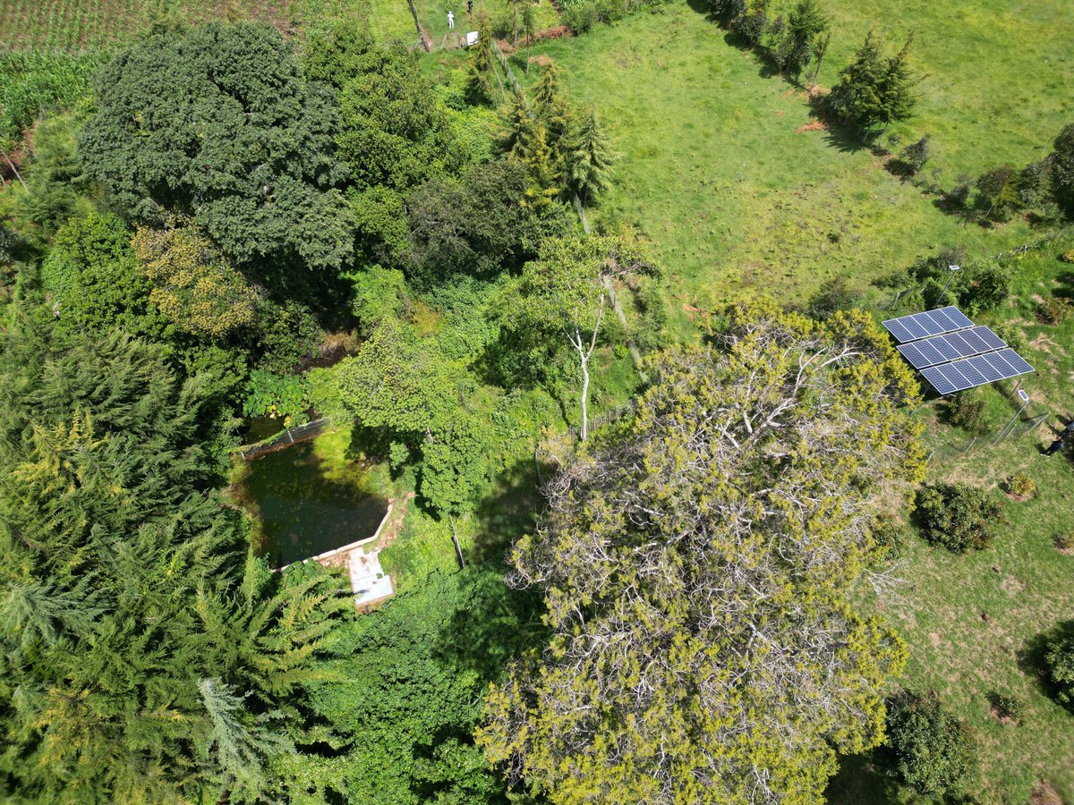 1TrillionTrees's tweet image. 📣 OUT NOW! The latest @1TrillionTrees #ReForestFund report.
Learn how @WWF_Kenya is working with local communities in Kaptagat – an important water tower landscape - to monitor 31,000 restored trees. Resulting survival rate: 93%!
Read more ➡️ bit.ly/3I2lta7