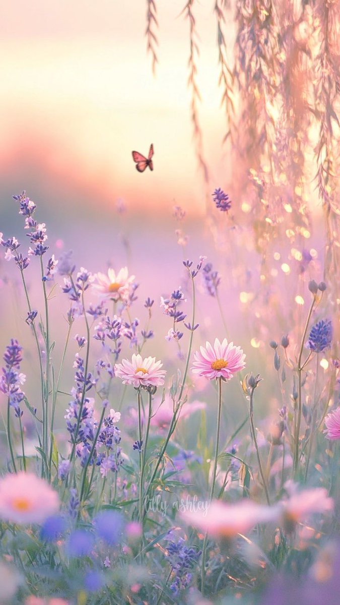 It's up to us to choose contentment and thankfulness now
And to stop imagining that we have to have everything perfect before we'll be happy.

Joanna Gaines