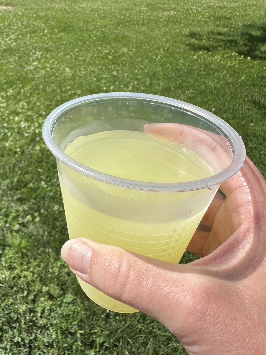 I will always stop at a kid’s lemonade stand