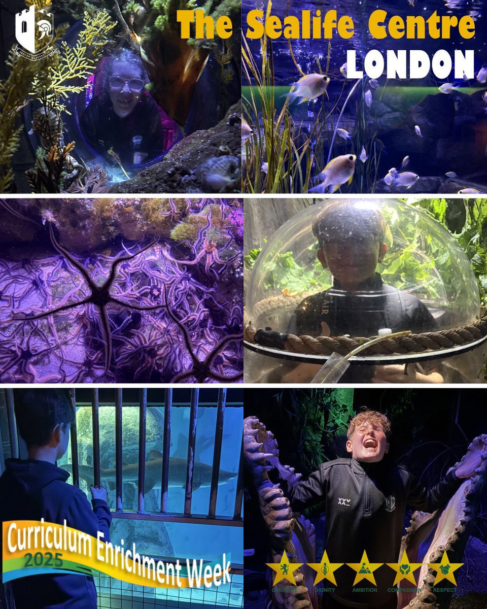 The Adeyfield Academy tweet media