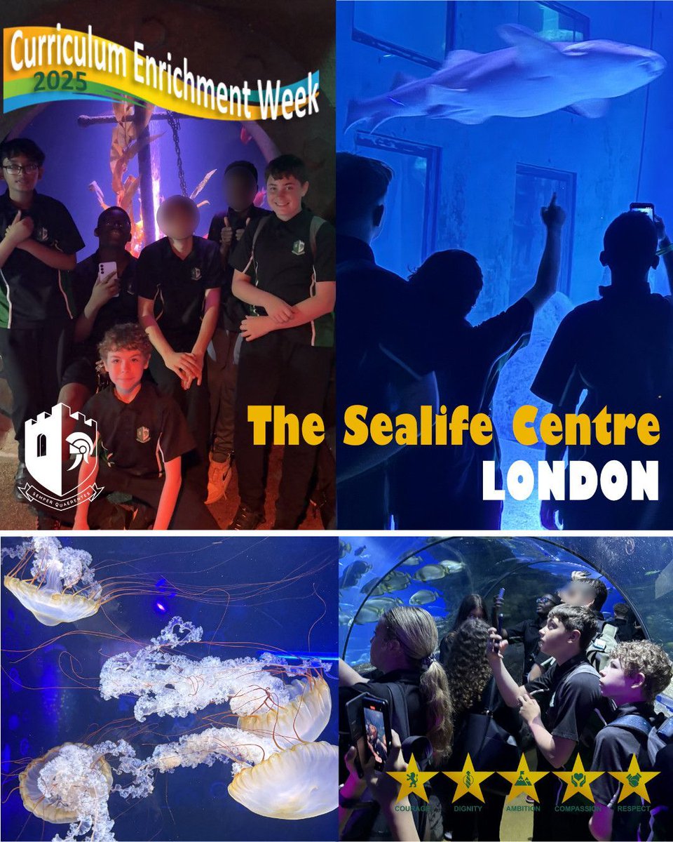 🐠 Last week, our Year 8 students had a fantastic trip to the <a href="/london_aquarium/">SEA LIFE London Aquarium</a> as part of their Curriculum Enrichment Week! They had a wonderful time exploring the amazing underwater world and learning about marine life. #CurriculumEnrichment #Respect