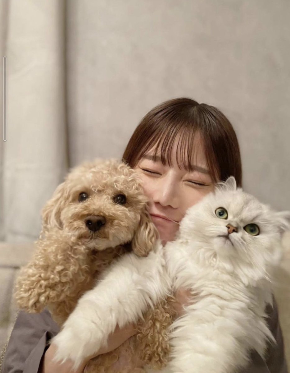 にゃんちゃん誕生日おめでとう🎂🎉 バースデーイベも行ったけど26日あらためておめでとう言わせて頂きます😊🙏 今年も良い1年にしたいね❗️#SILENTSIREN #あいにゃん #にゃんちゃんハピバ