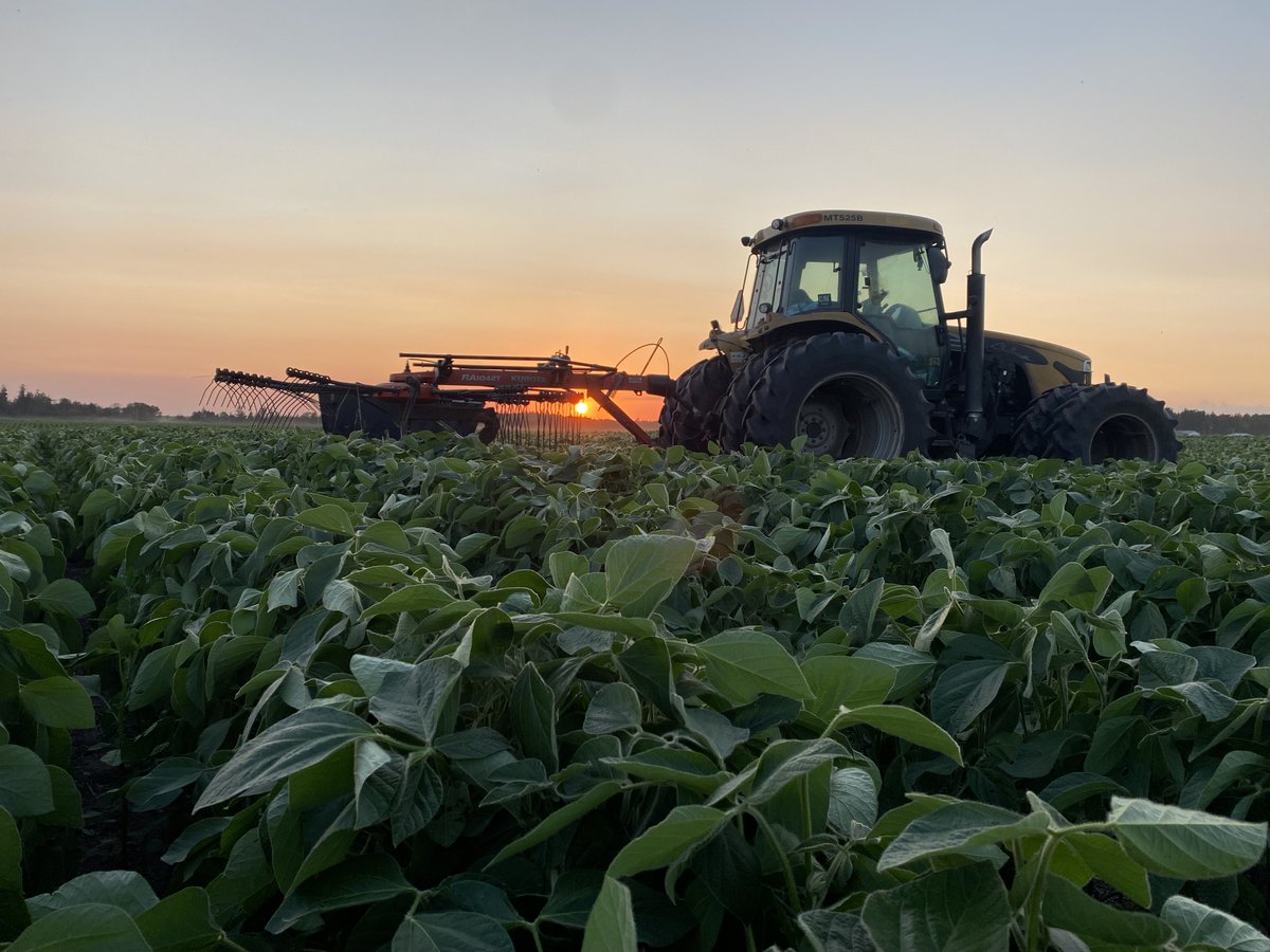 Soaking in the sunshine ☀️ 

July's calendar shot was taken by Jodi van de Weetering from La Broquerie, MB 📸