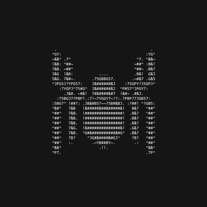 SPIDER 🕷️ tweet media